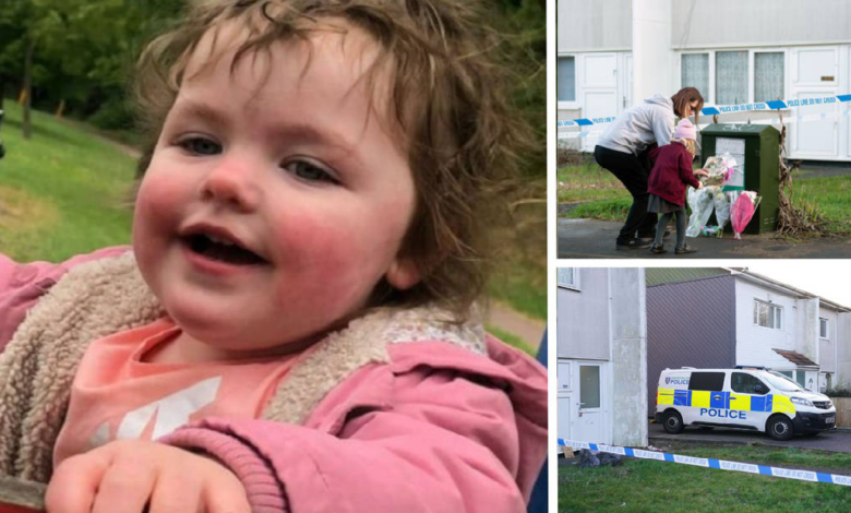 Who is Milton Keynes? Four-Year-Old Girl Killed by Dog Video Goes Viral