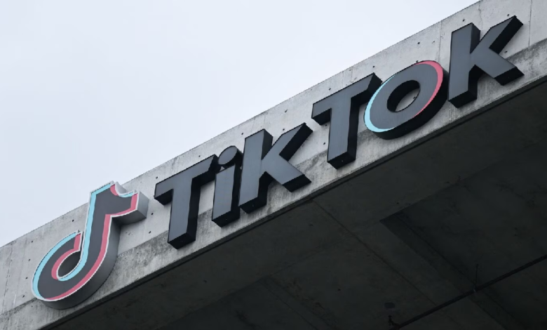 TikTok and Candy Crush both banned on government devices in France