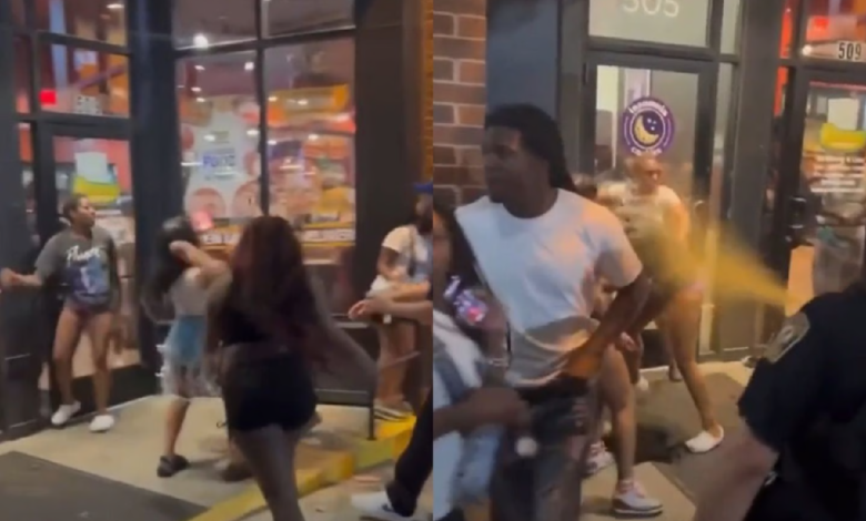WATCH: Video shows Cop spraying mace on a group of fighting women viral