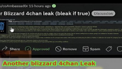 Blizzard 4chan Video Viral On Social Media